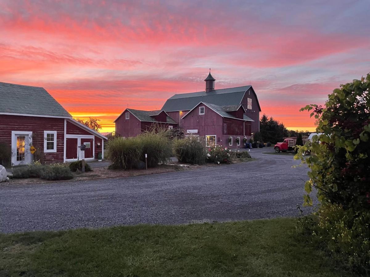 The Eddie Hotel And Farm Bloomfield Esterno foto