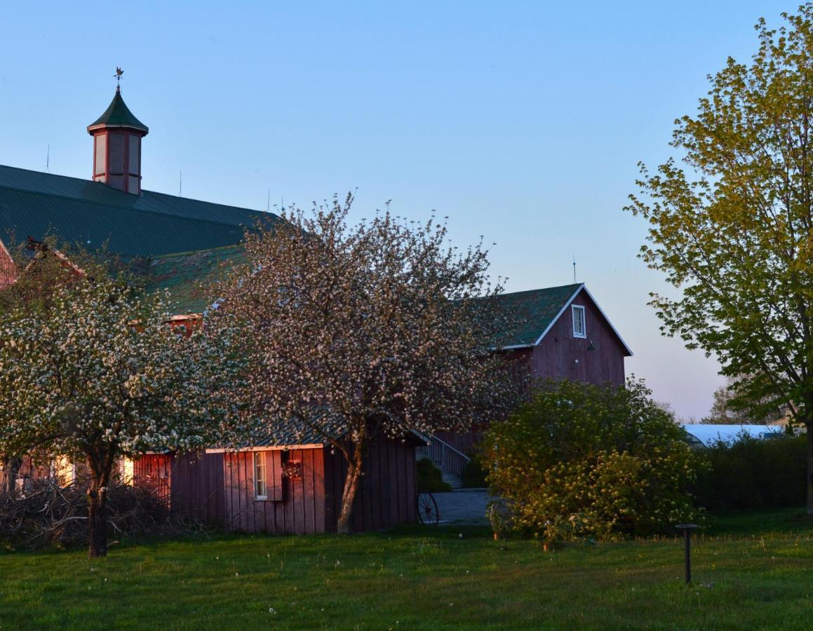 The Eddie Hotel And Farm Bloomfield Esterno foto